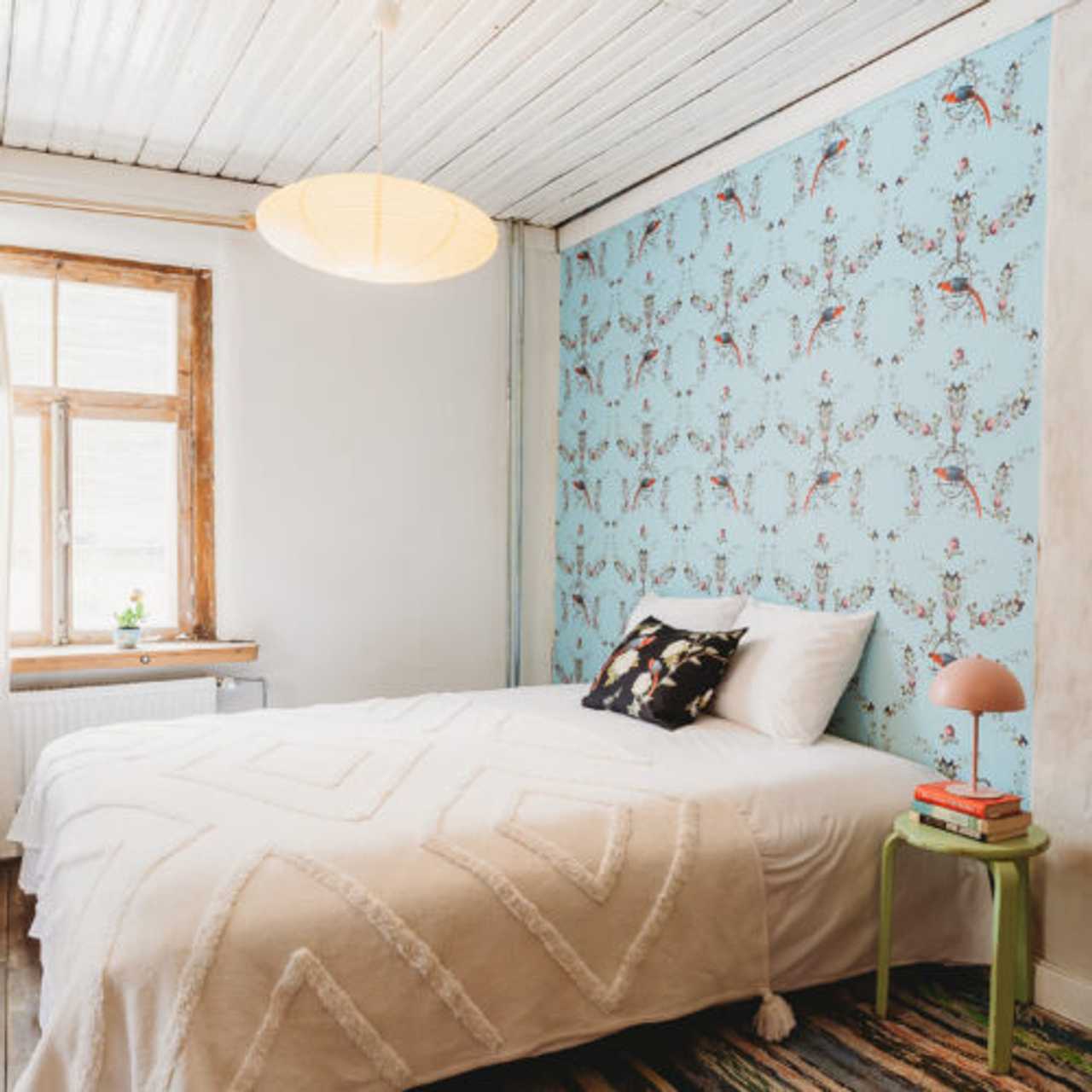 Marta 8 vegan B&B: perfect hideaway. Close to Old Town, hiking areas, vegan cafe