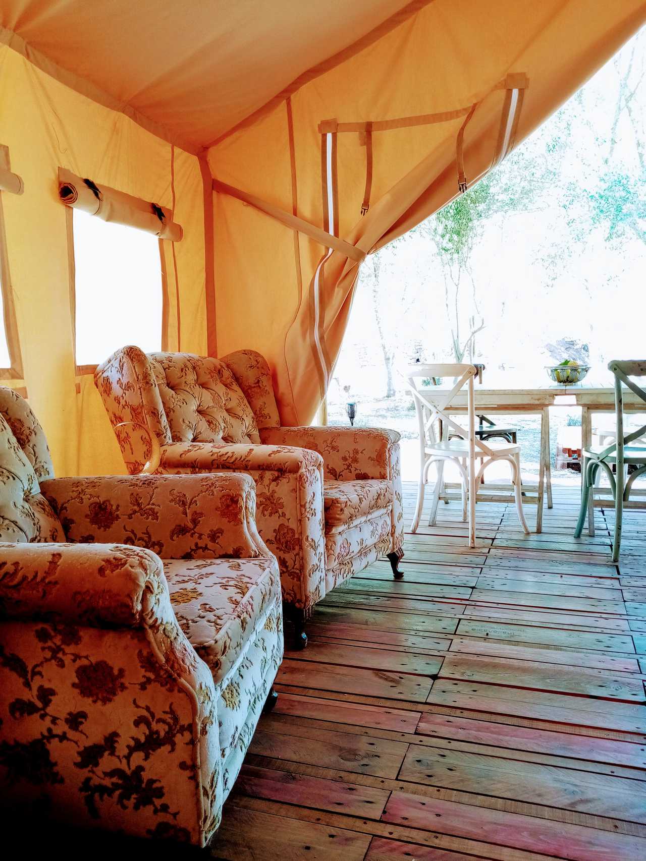 Olive Groove @ Naturally Cool Glamping