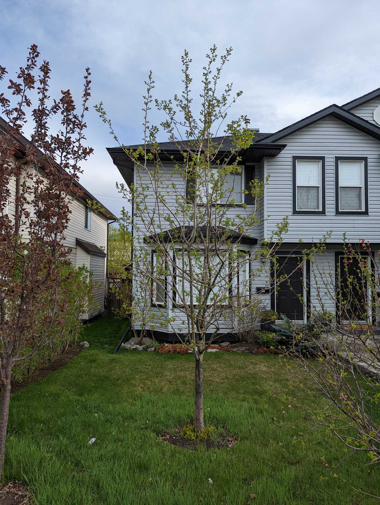 Free cozy bedroom close to downtown, easily accessible by public transport.