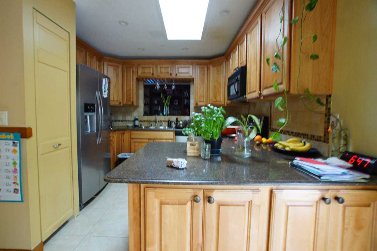 Sacred Healthy Home Garden Oasis Plant-based Retreat!