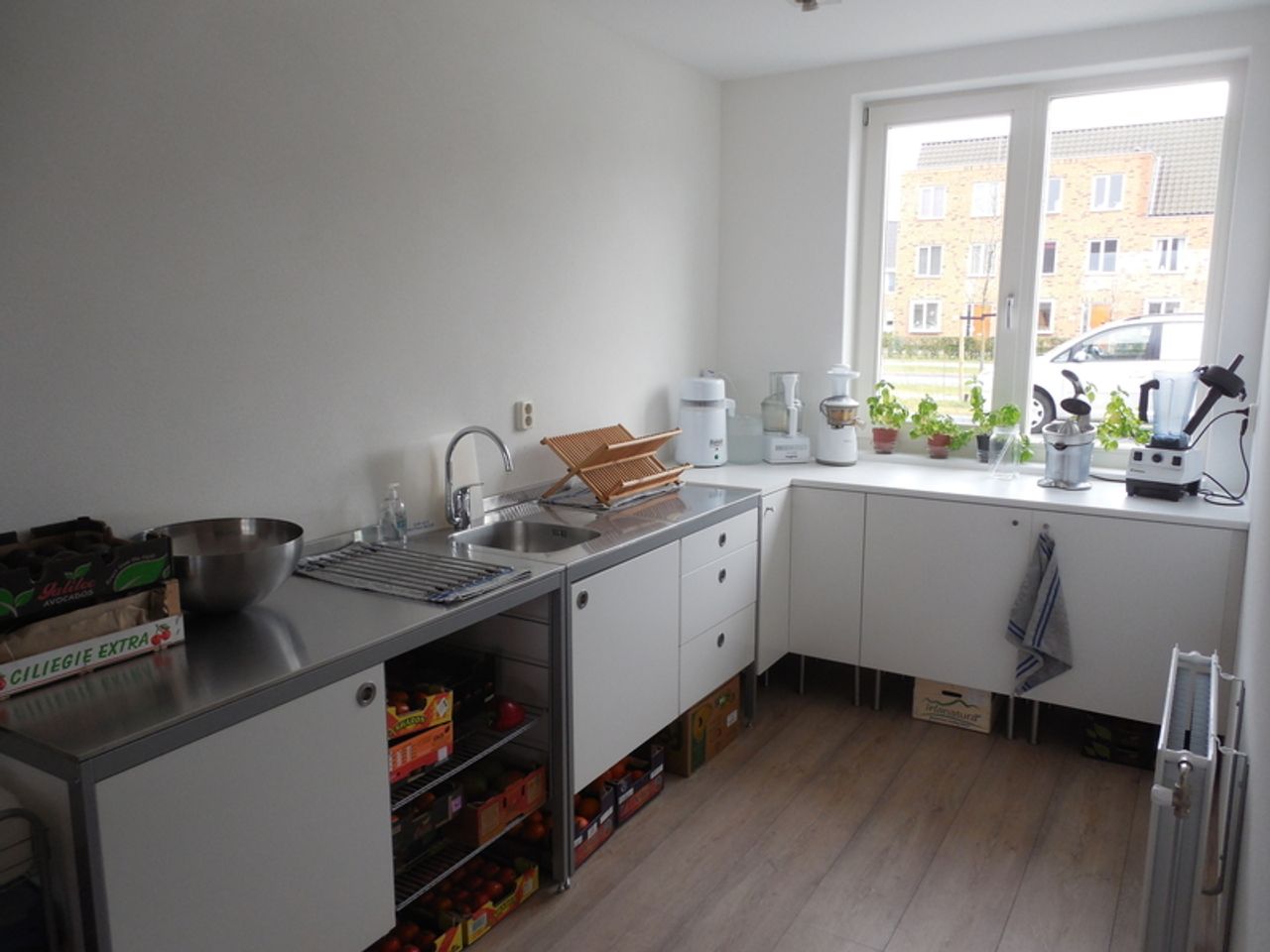 High carb vegan household with two spare rooms near Rotterdam, Netherlands