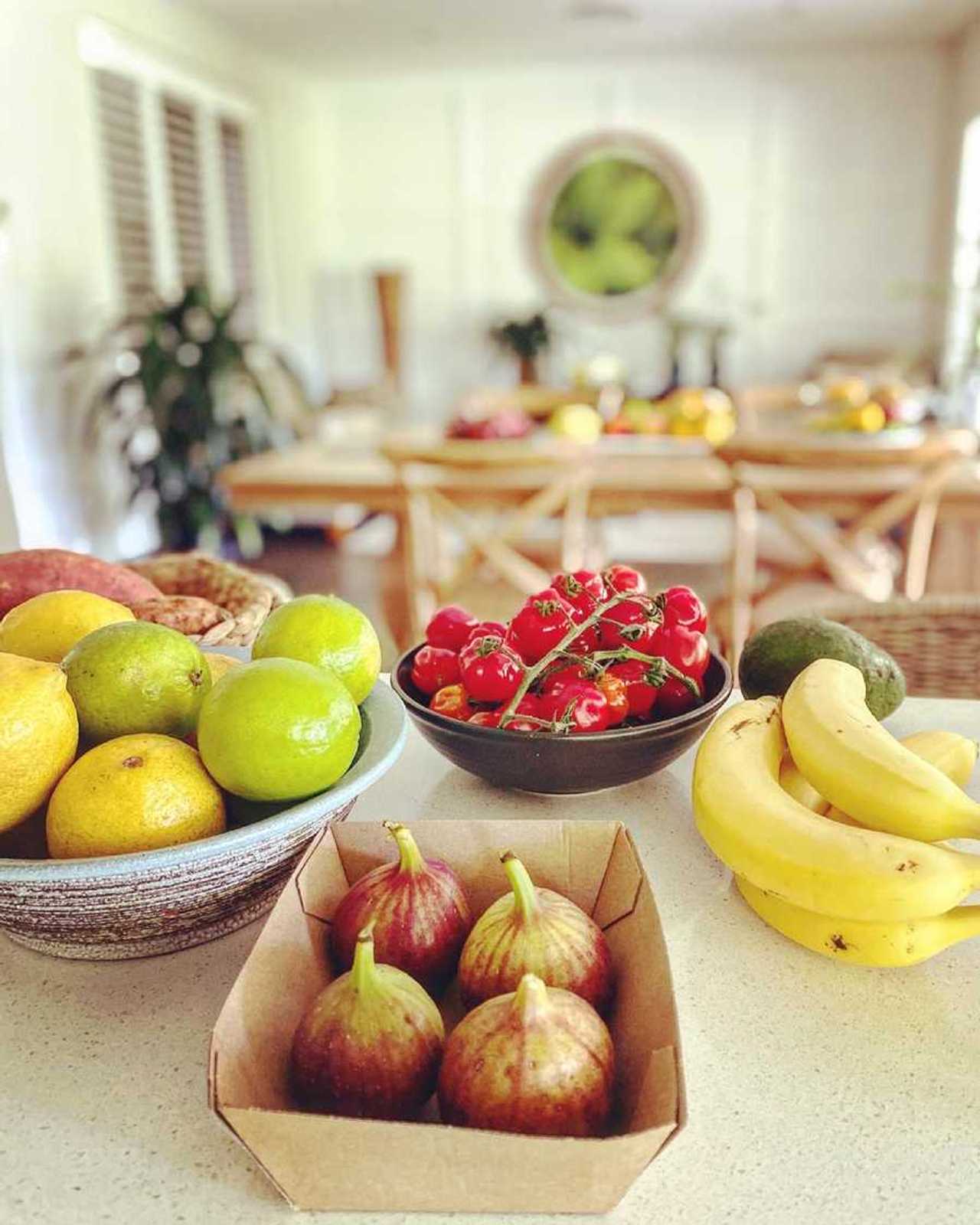 Tranquil Vegan B&B in Noosa region.  In house hospitality and charm 