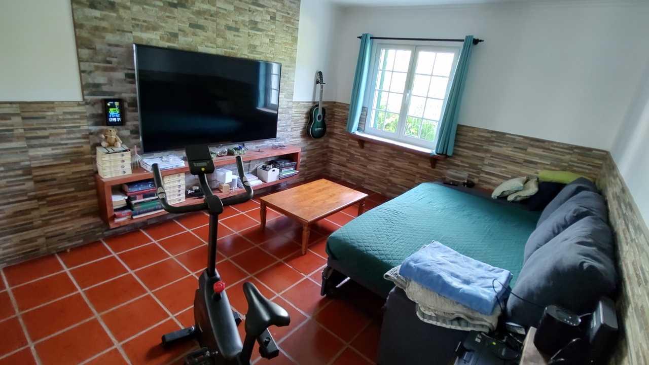 Vegan-Home with cats on the stunning island São Miguel