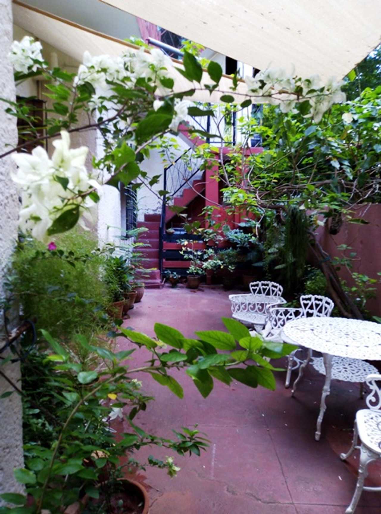 Hostal Patio de 27. A cozy vegan oasis in the heart of the Cuban capital