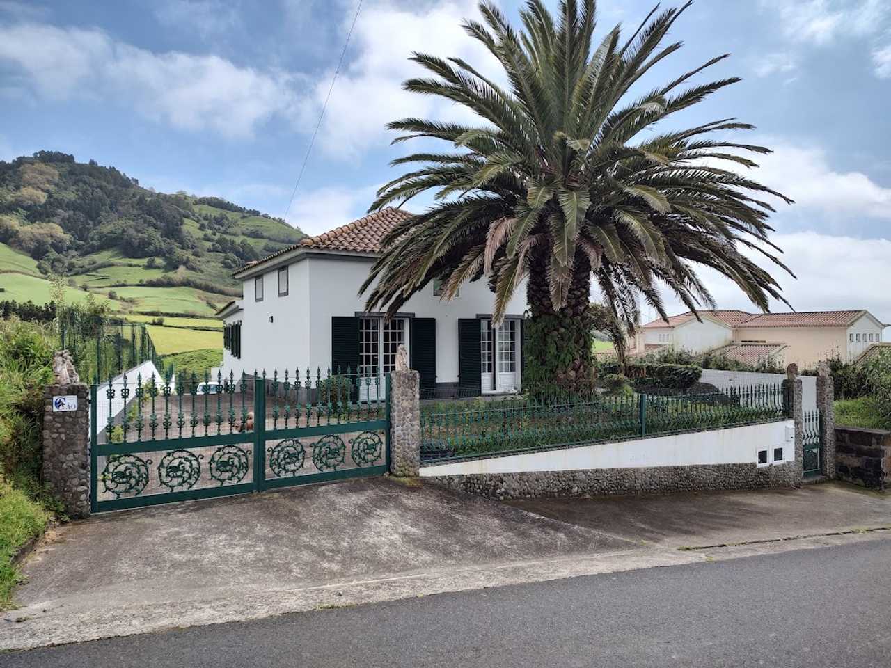 Vegan-Home with cats on the stunning island São Miguel