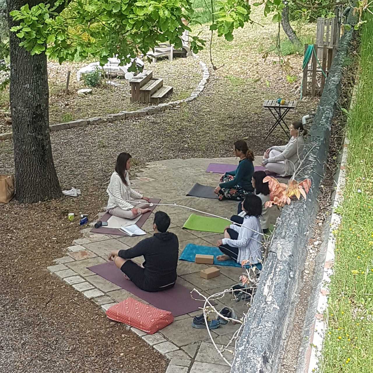 Abriecosy - a heaven of peace in the forest of Bargemon, Provence