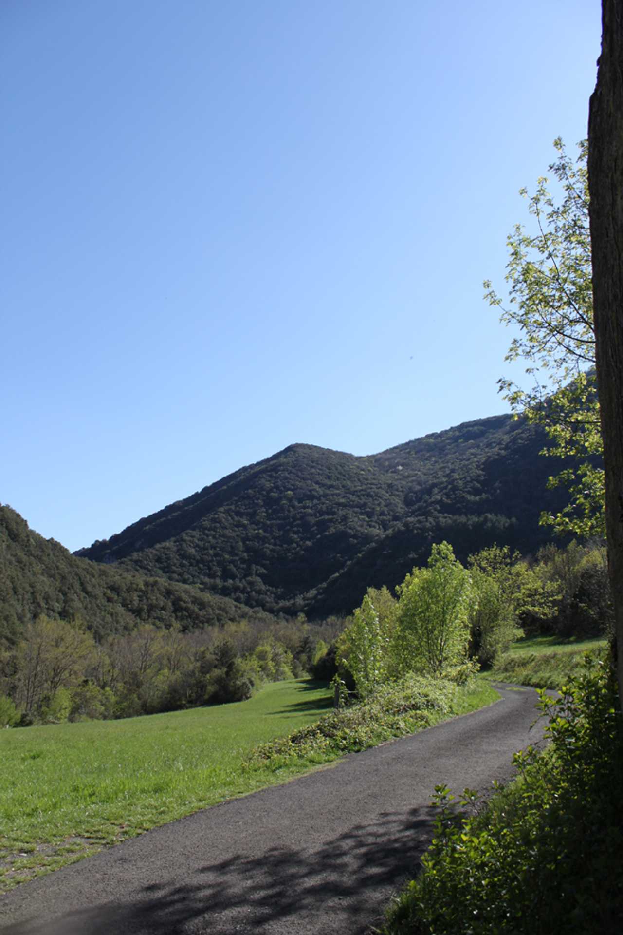 Back to Nature at the Mill!