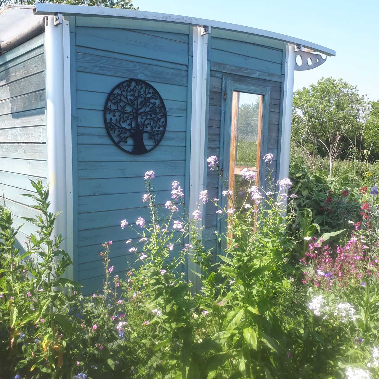 Off-grid Nature Retreat. Peaceful. Beautiful views (with Wi-Fi if you want!)