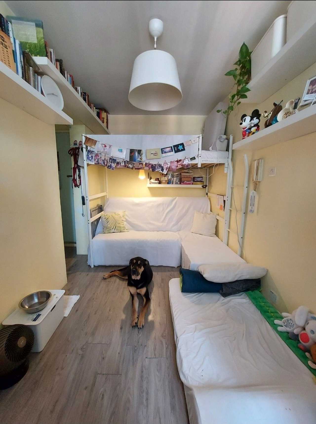 Connect with Super Dog Lovers, Christians, Environmentalists, Vegans/Vegetarians
