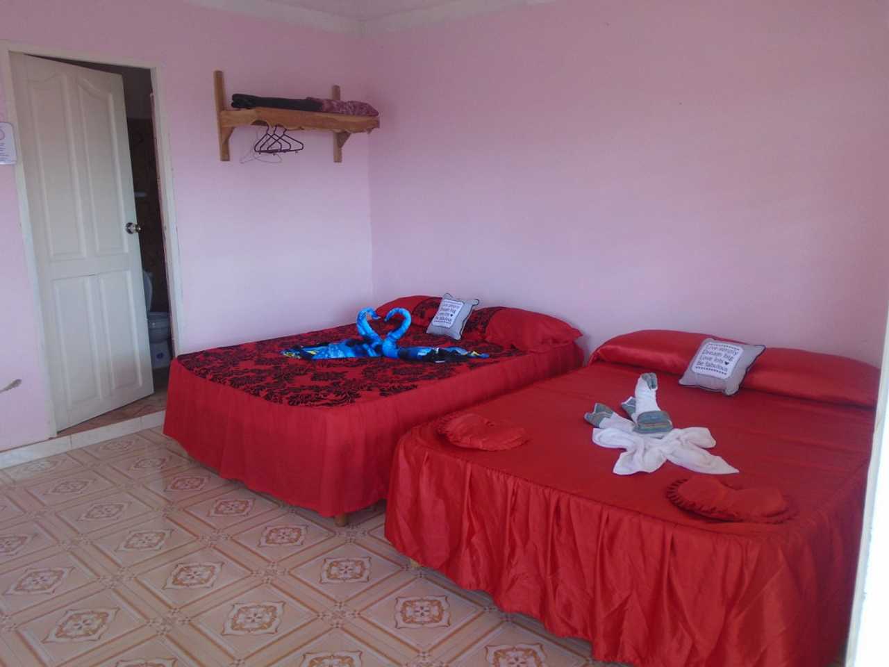 Friendly Family Run, Centrally Located Hostel with Sea Views & Home-Cooked Meals