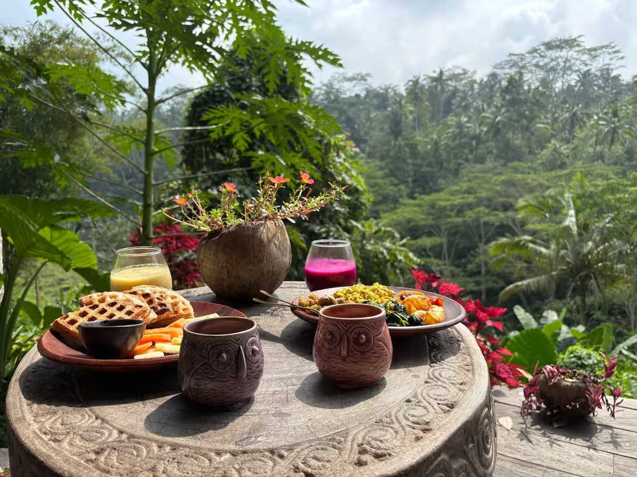 The Jungle Nook - Fully Vegan - Gorgeous Valley Views & Nourishing Food
