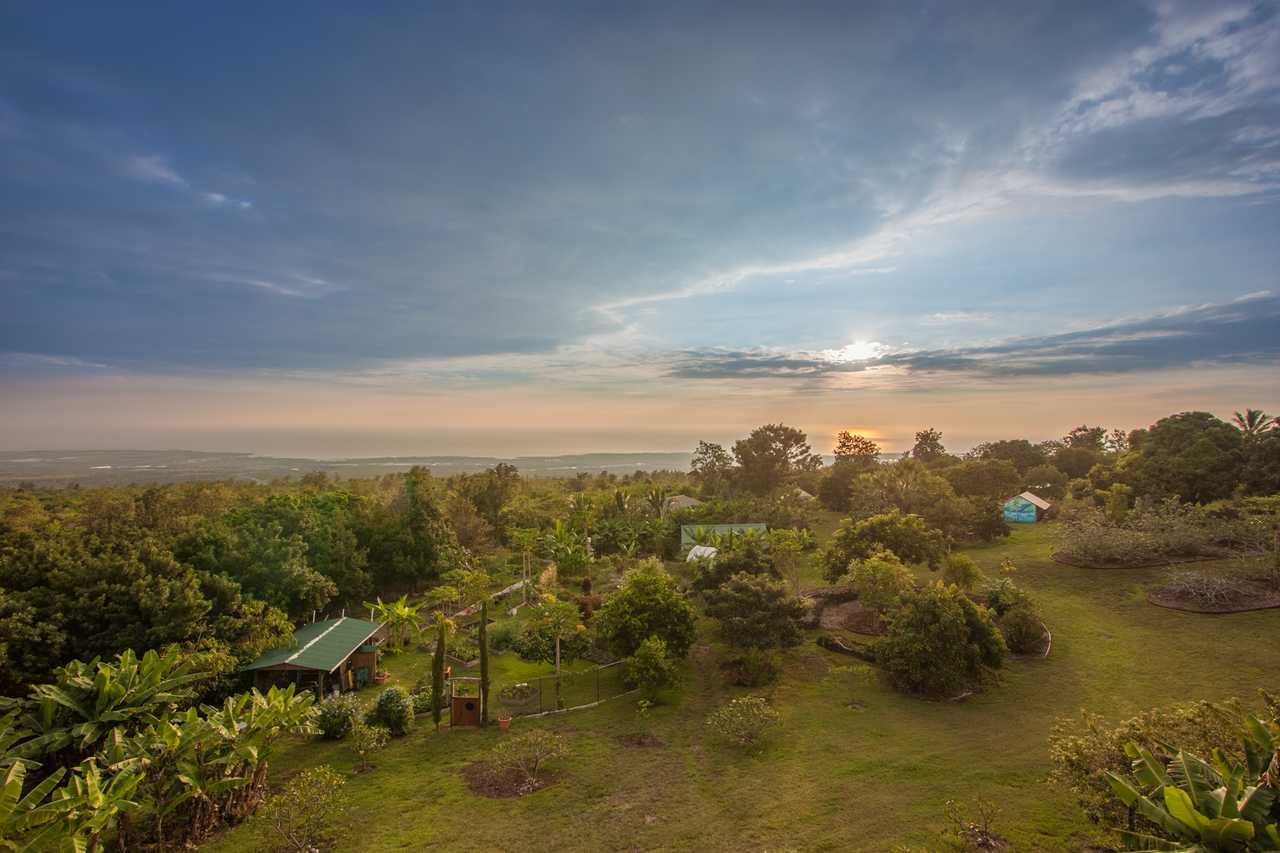 1100' Inland of the Coast, Sunny West Side of the Big Island