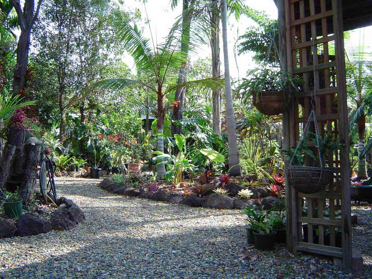 Forest Lodge: Little Villa, tropical gardens, wildlife, rainforest
