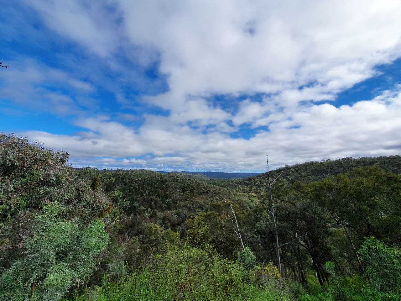 Off-Grid Vegan Getaway