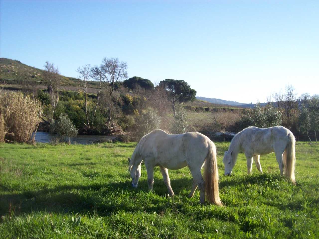 Personal 1-1 Compassionate Retreat on the River Mondego, Portugal