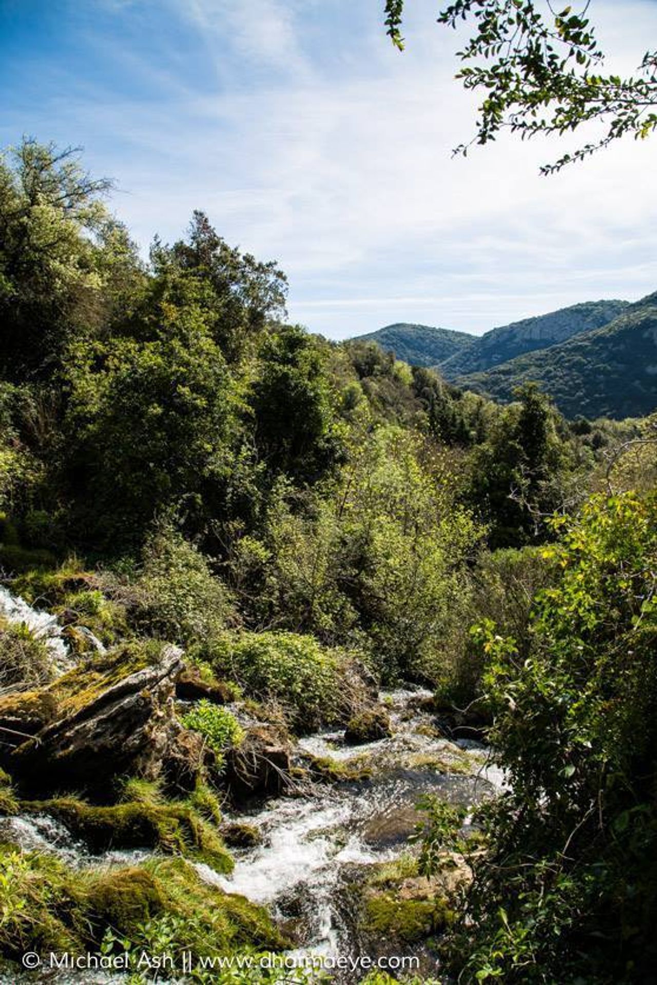 Back to Nature at the Mill!