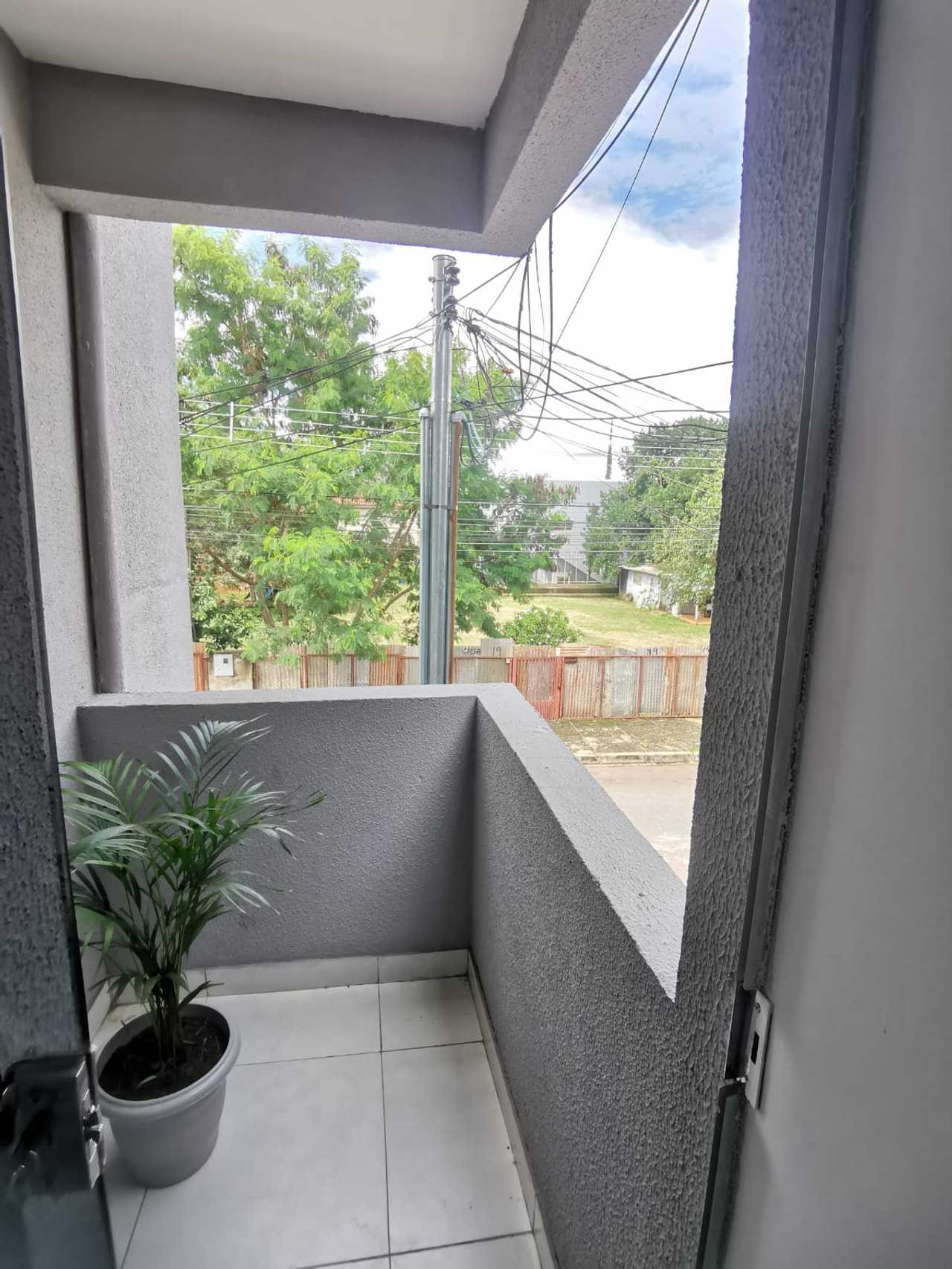 New and Clean Vegan Studio close to main city atractions