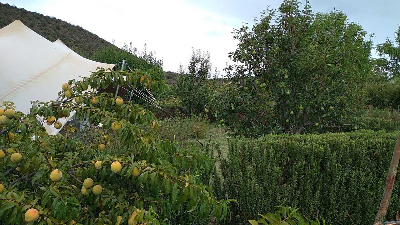 Luxury Tents @ Ricky's Drift Vegan Farm and Animal Sanctuary