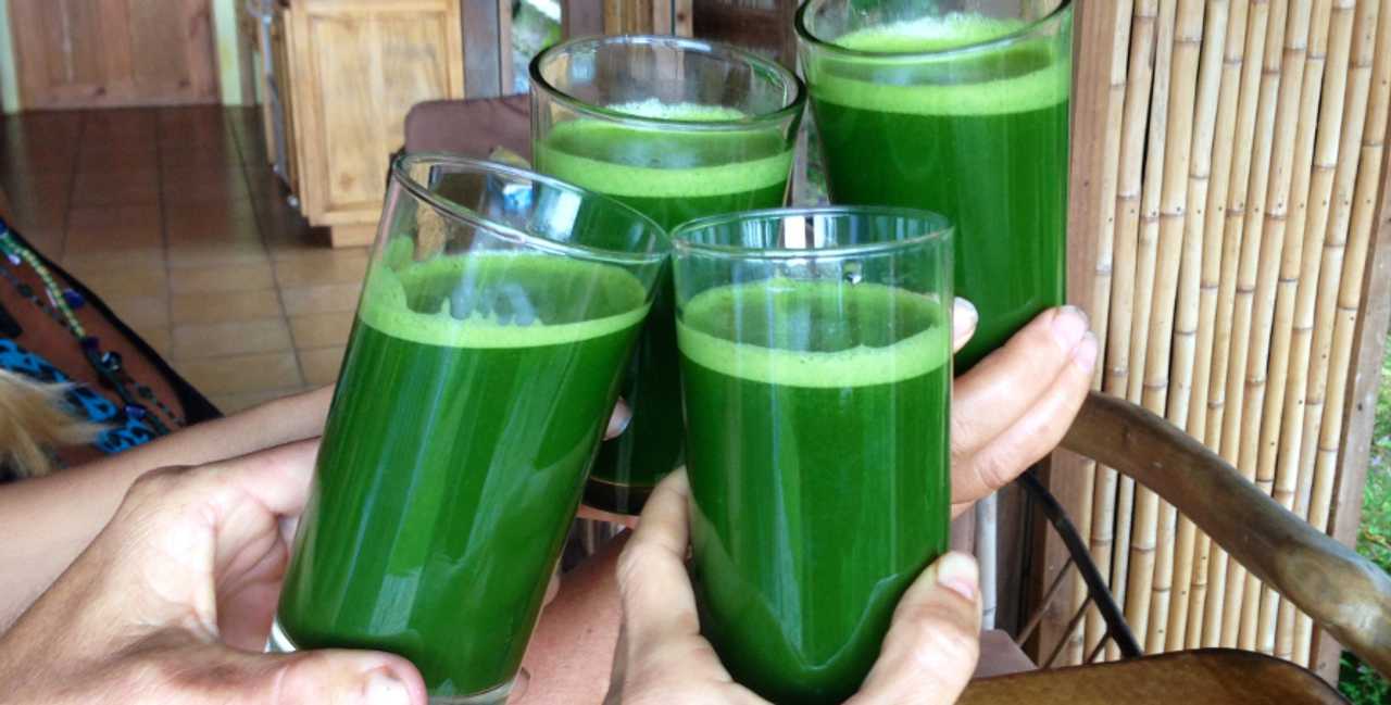 Affordable Vacation for the Healthy Lifestyle & Natural Healing Center
