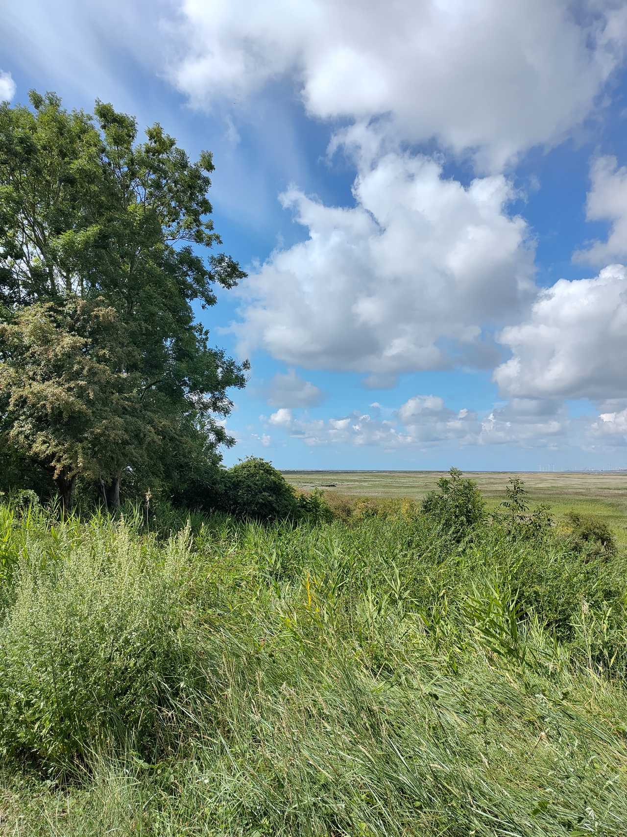 A comfy couch in a quiet, rural village, close by nature reserve and beaches.