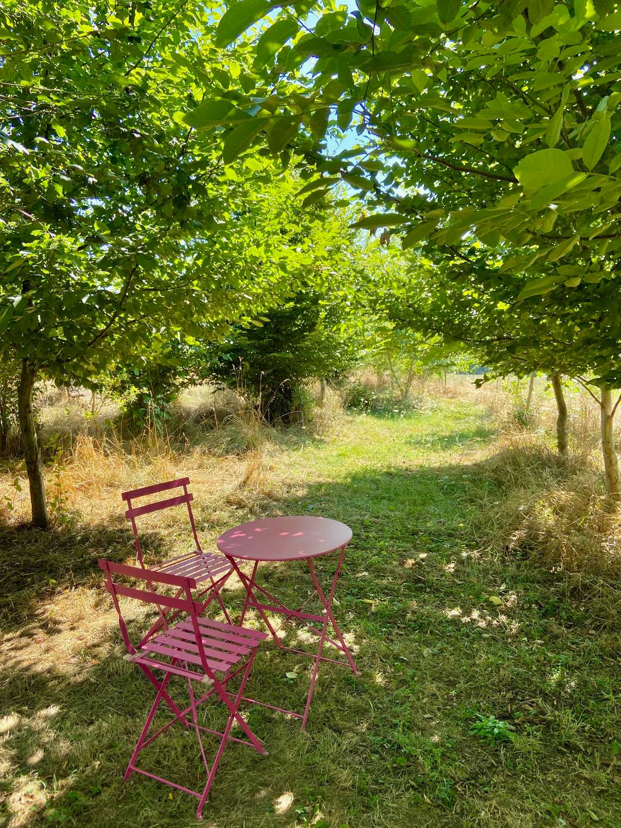 Vegan B&B in the Charente Limousine, rural France - Bedroom 1, GF