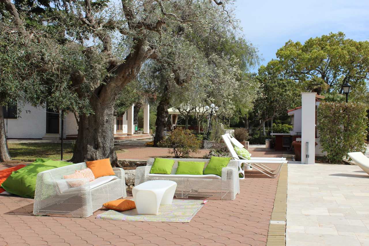 Luxury villa in midst of an ancient olive grove, ideal for families