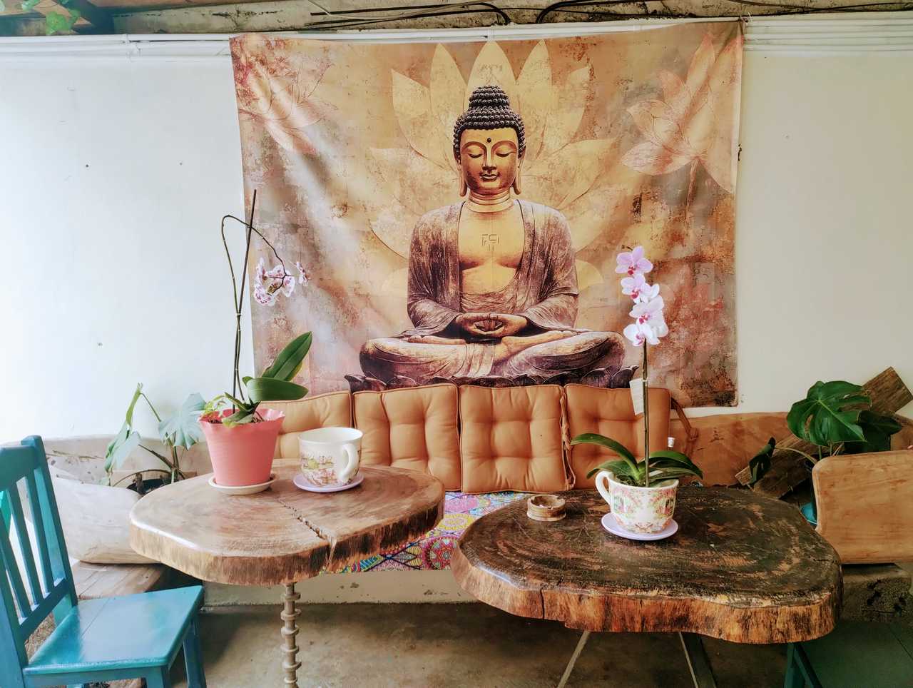 🌿 Worldbridger Sanctuary | Chakra Rooms, Vegetarian Living & Meditation