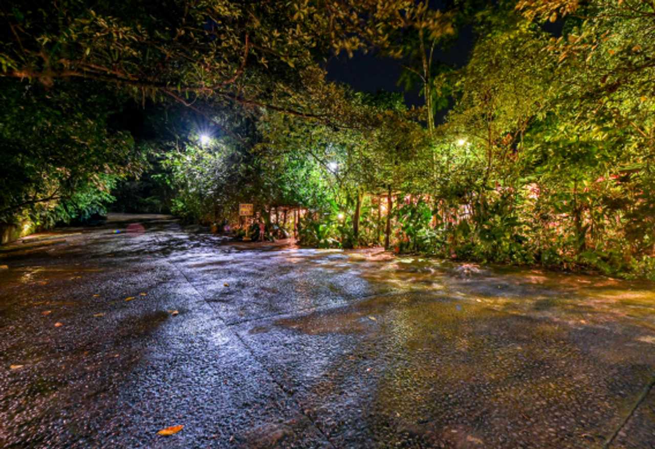 Lands in love hotel & forest resort 