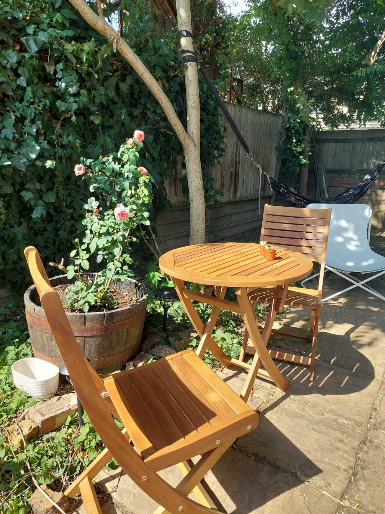 Vegan family home flat to let