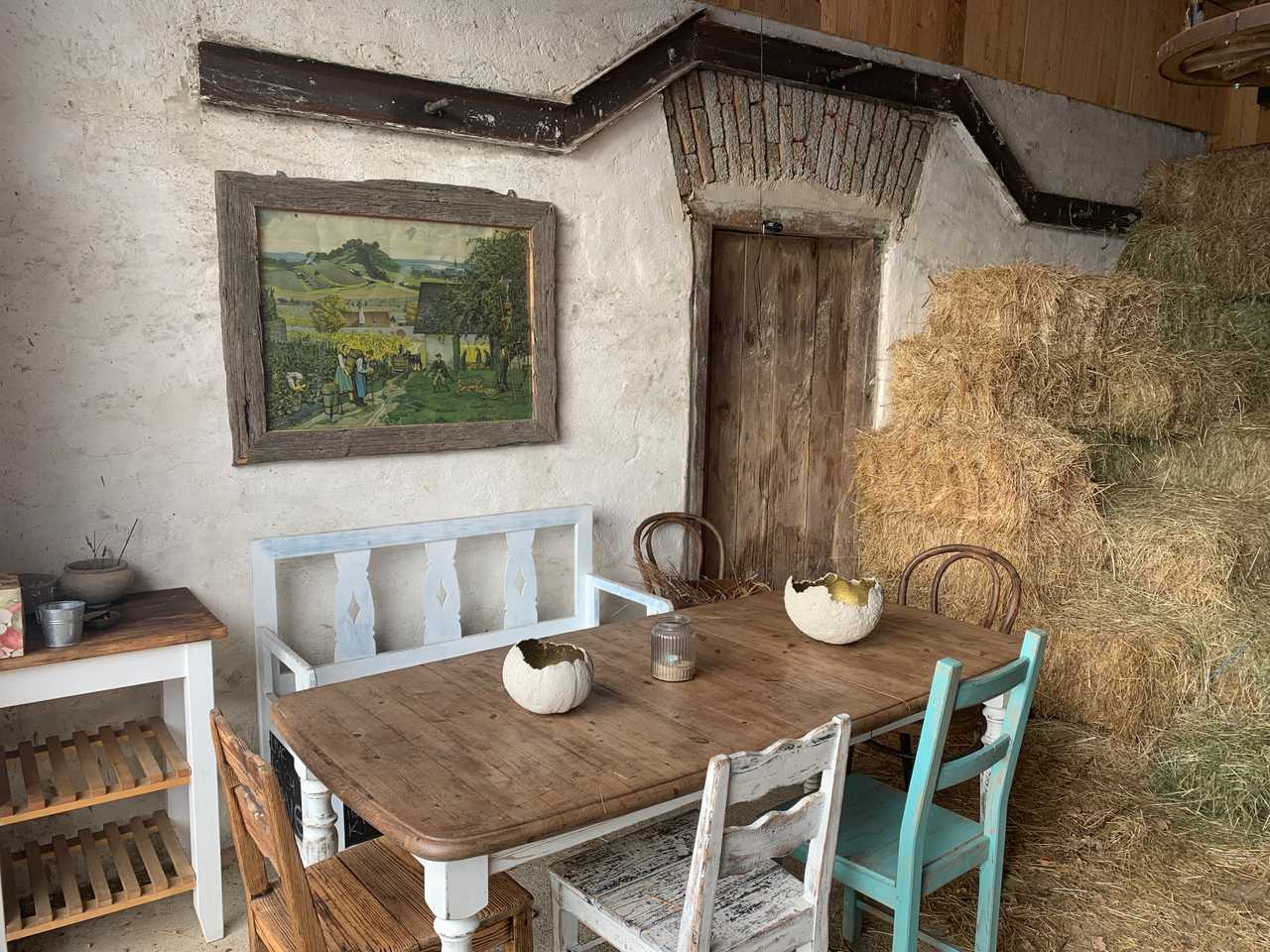 Varm - the vegan farm - a kind of sanctuary for animals and humans