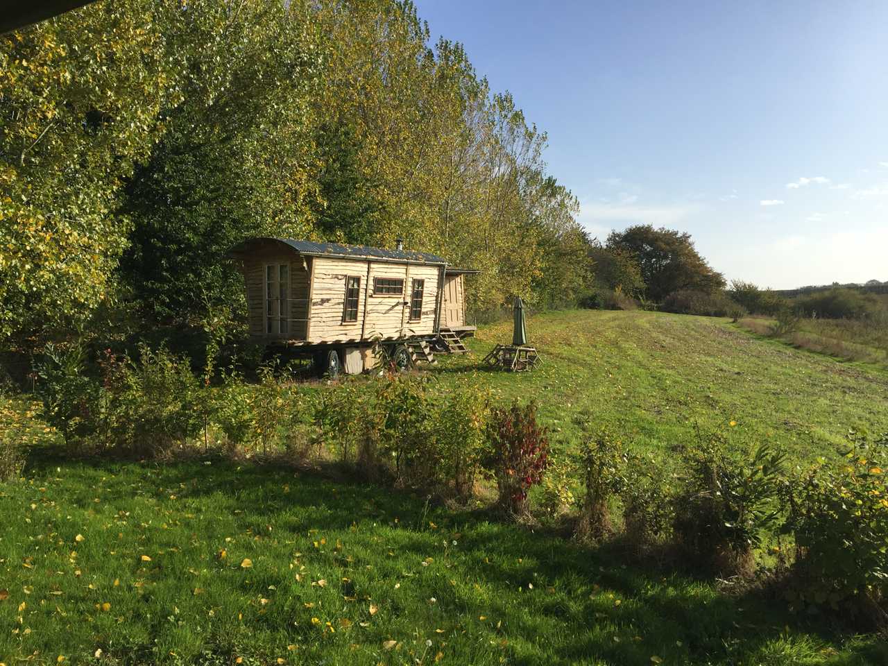 Hand-built wooden showperson's wagon on a veganic forest farm