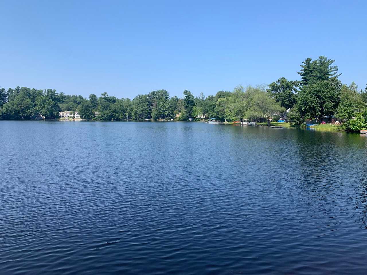 Eco cozy, pet friendly, lakeside home, close to everything!!