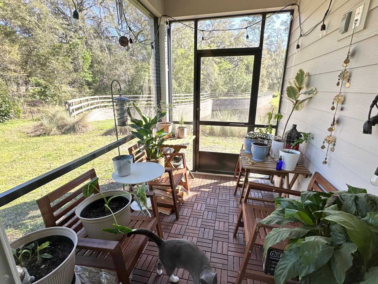 Clean and Quiet Vegan Room near Tioga Town Center - Gainesville 