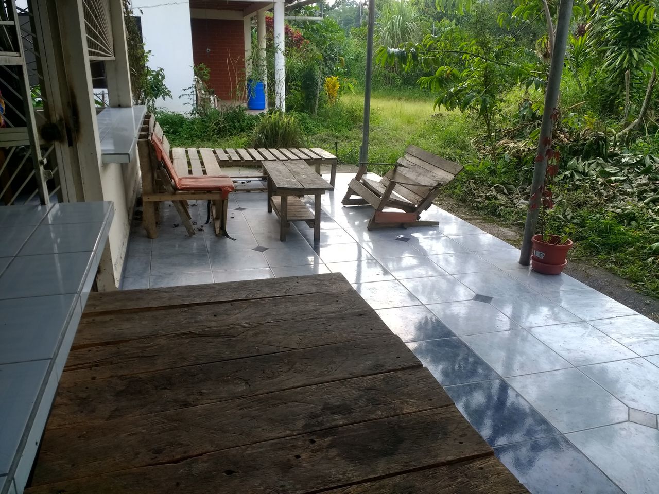 Amazonian Paradise and Garden of Eden