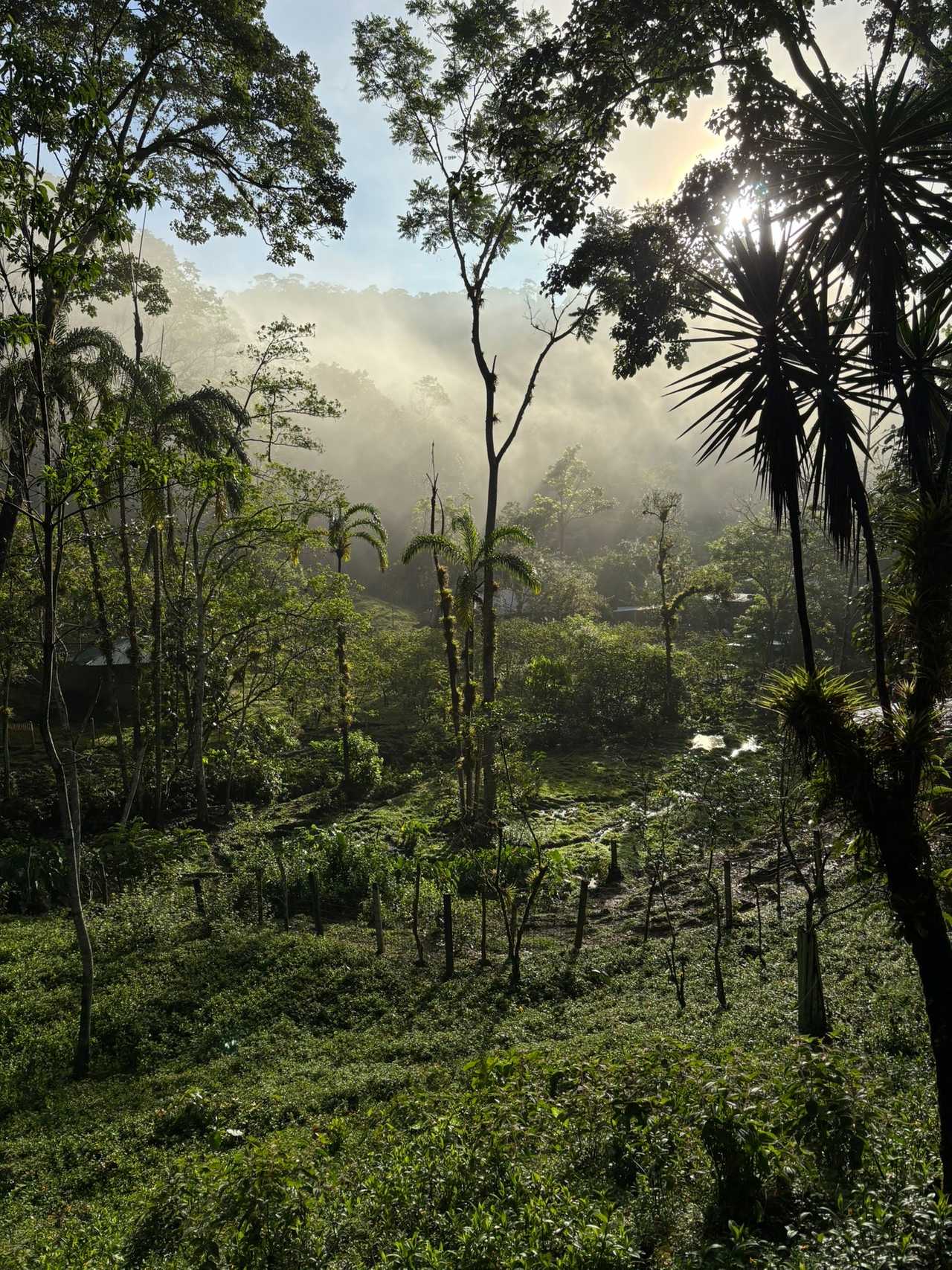 Private room or guesthouse on our VEGAN Animal Sanctuary