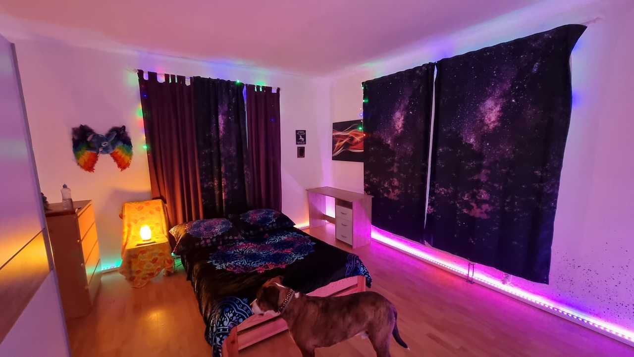 Bohemia Wonderland Vegan Guest House