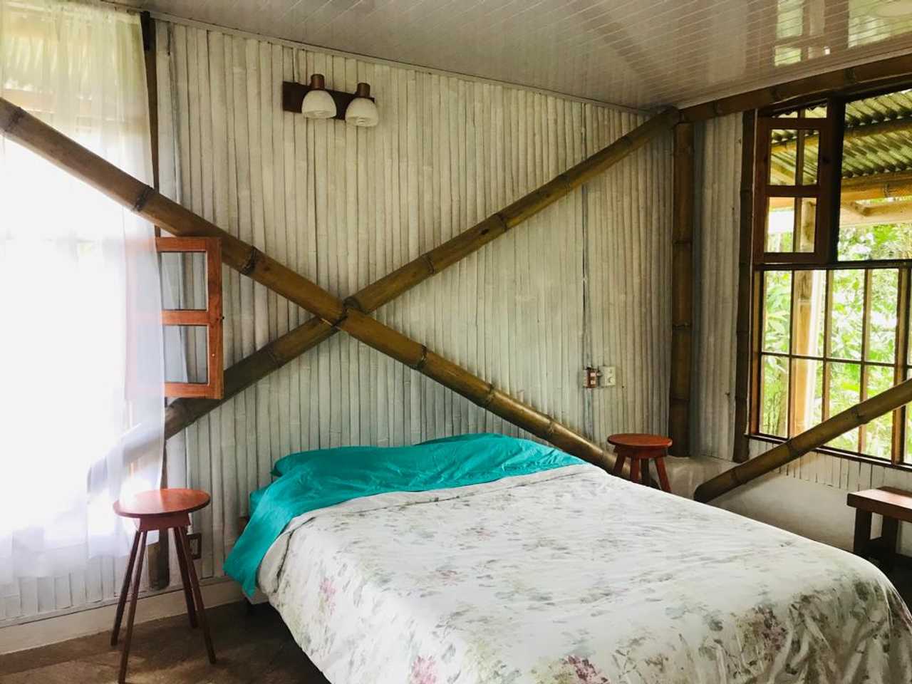 Delightful cabin with epic ocean and mountain views "The Healing Sanctuary"