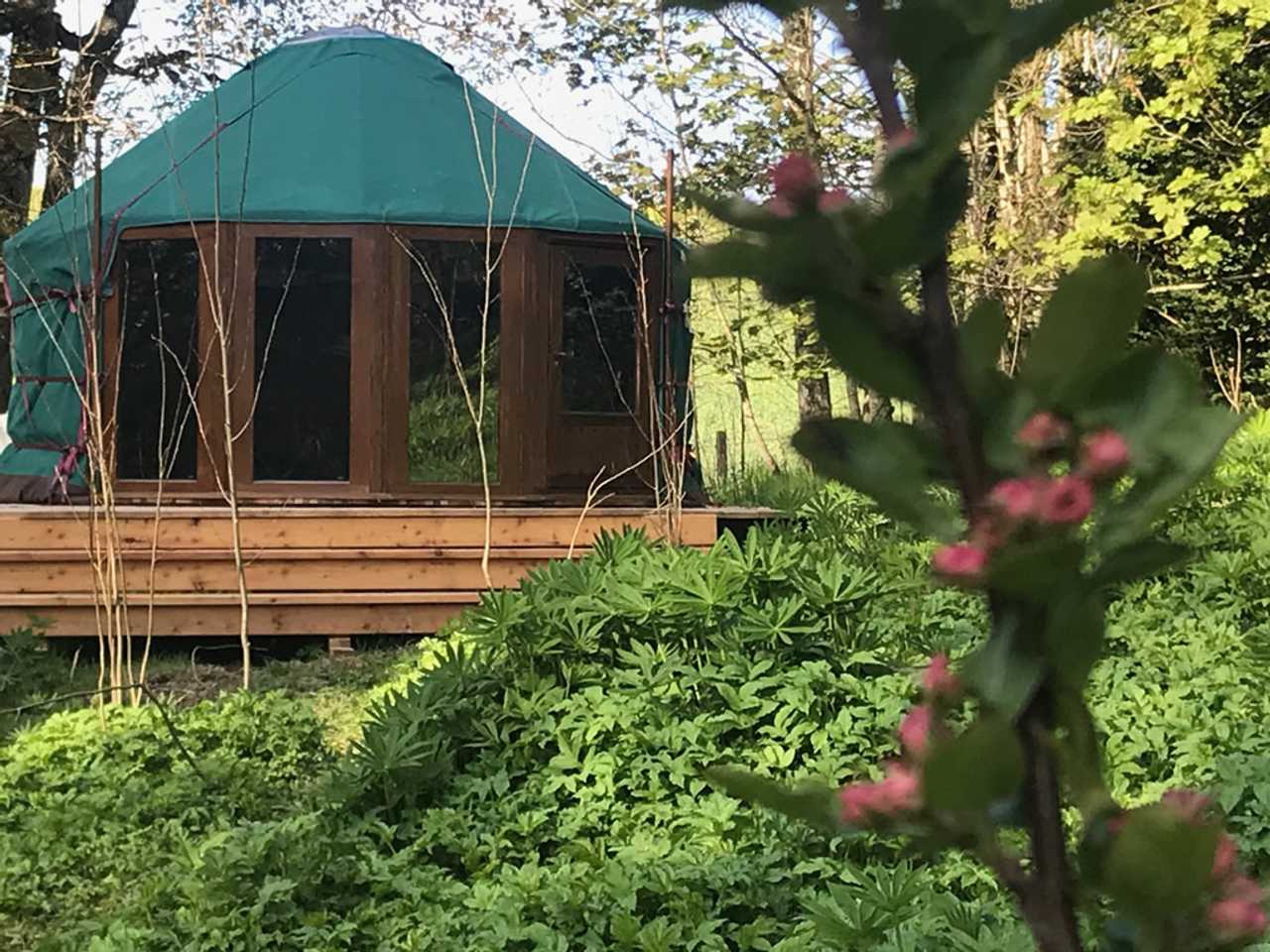 Bramble Yurt in nature Paradies