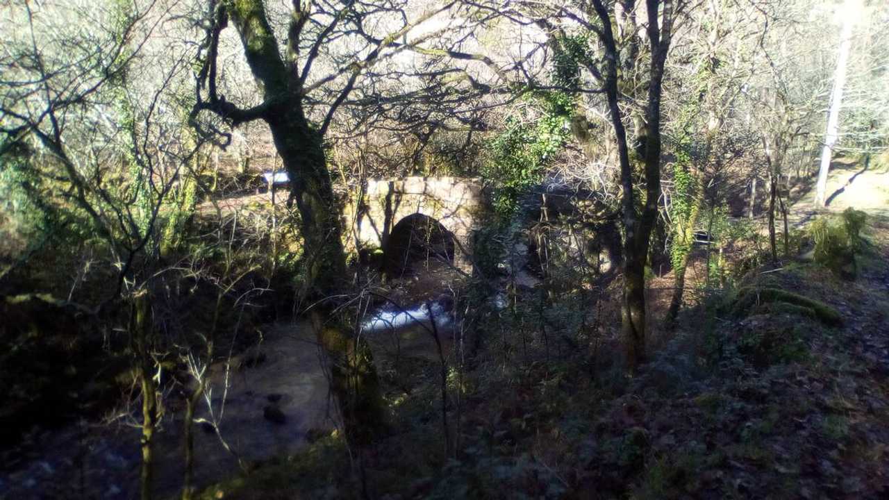 Rural vegan place in the heart of the Galician land