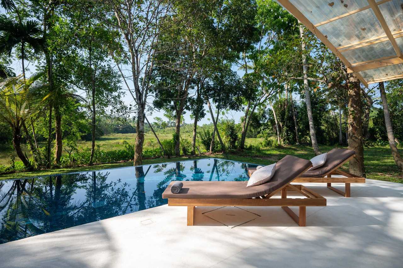 Sri Lankan jungle meets sunny paddy field view