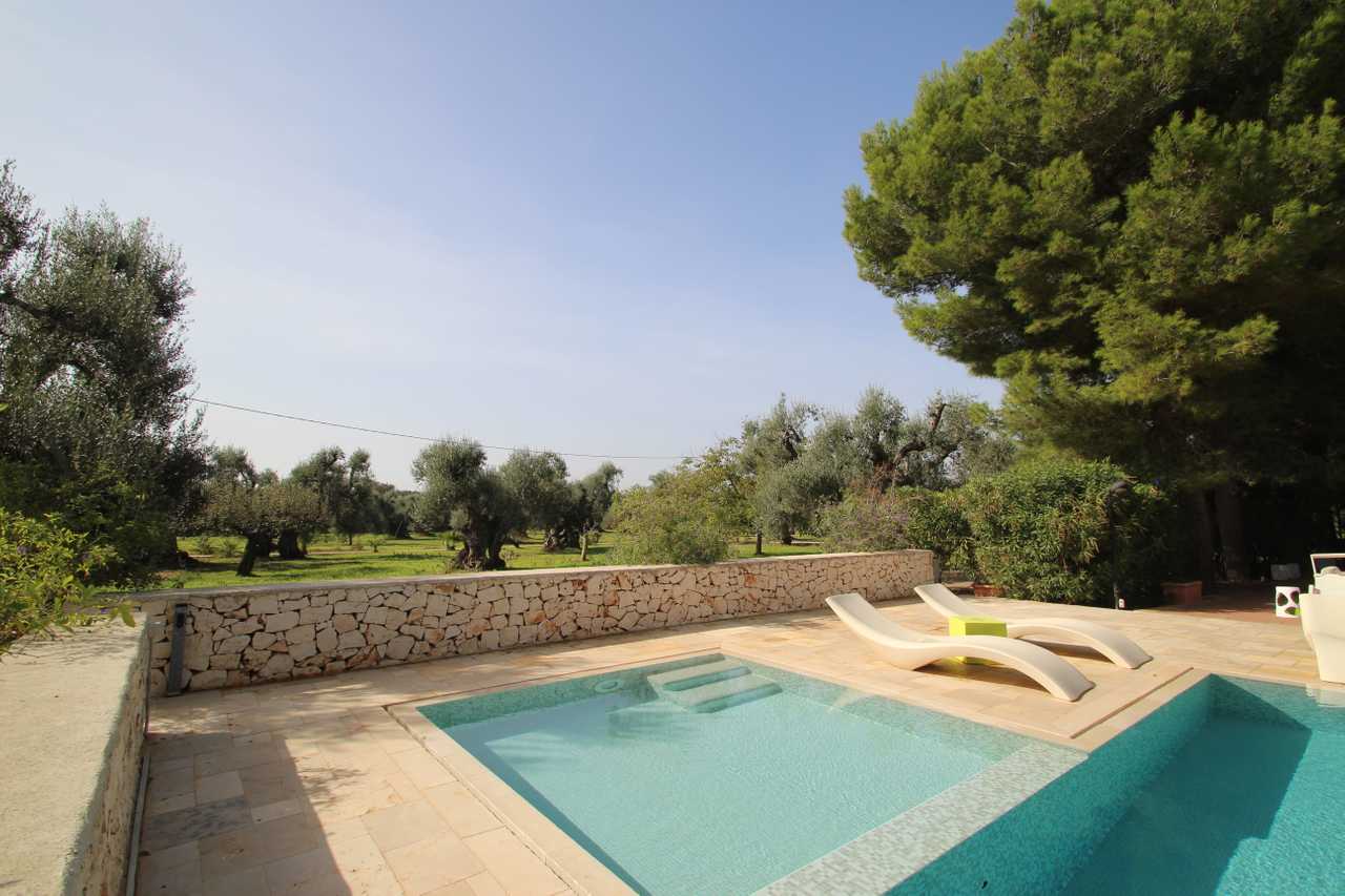 Luxury villa in midst of an ancient olive grove, ideal for families