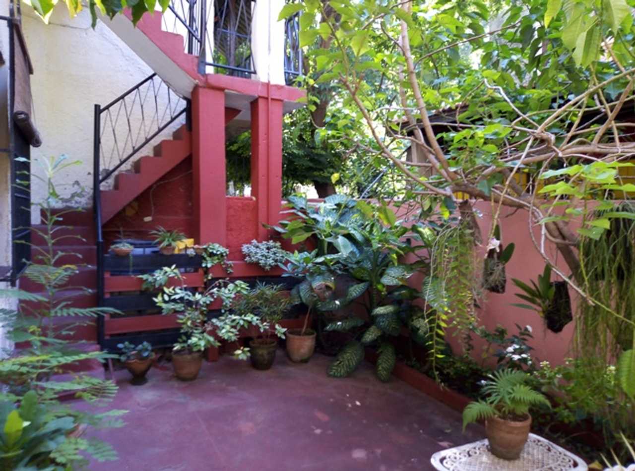 Hostal Patio de 27. A cozy vegan oasis in the heart of the Cuban capital