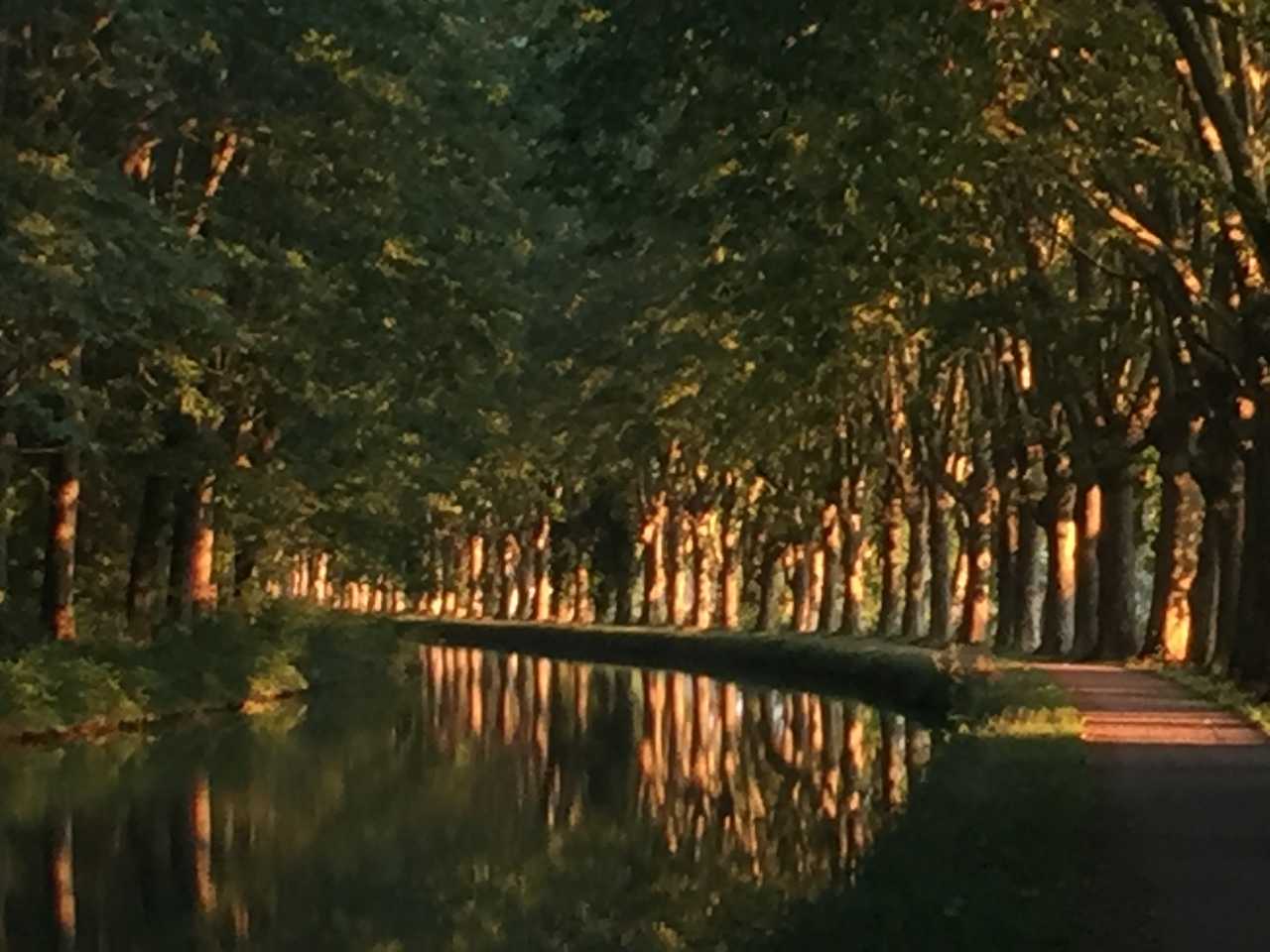Entire place in Le Mas d'Agenais townhouse canal views