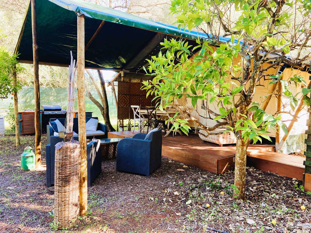 Orange Blossom @ Naturally Cool Glamping 