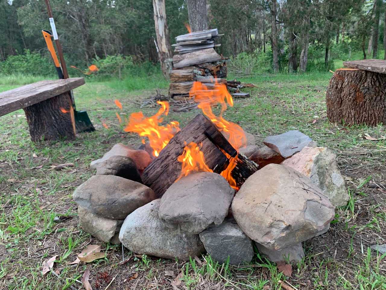 Organic Veggie Farm Camping
