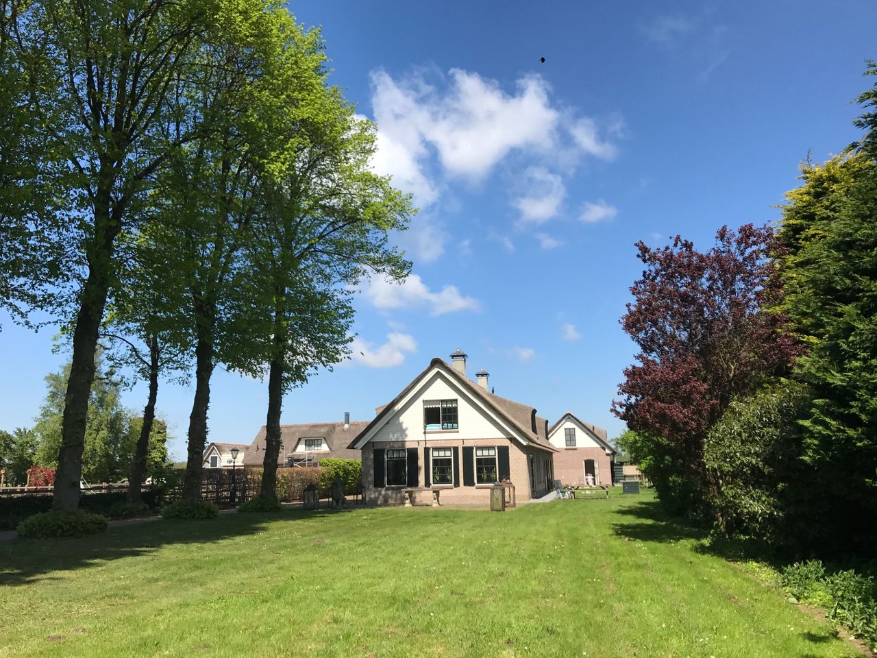 Cozy and Peaceful Thatched Roof Guesthouse of 1880's Farmhouse near Amsterdam!