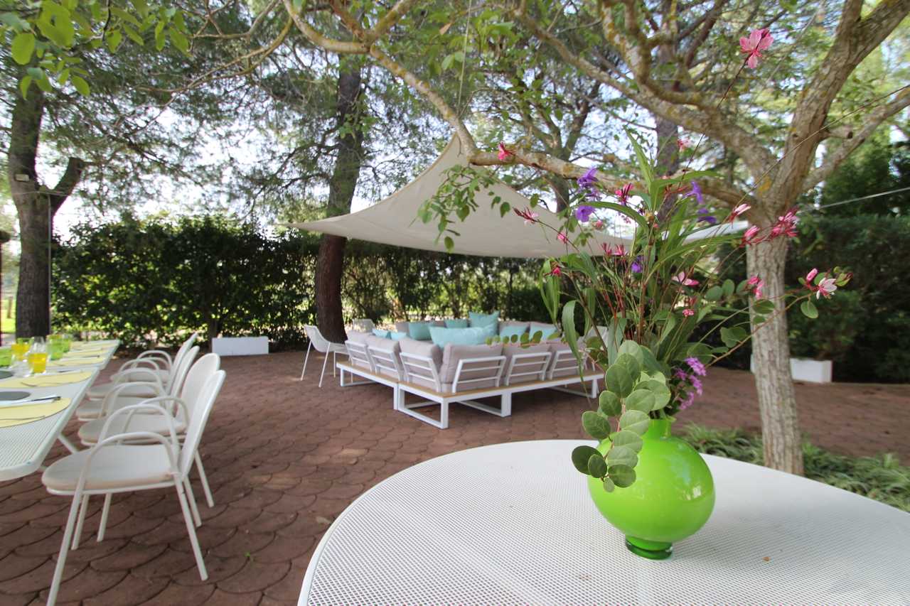 Luxury villa in midst of an ancient olive grove, ideal for families