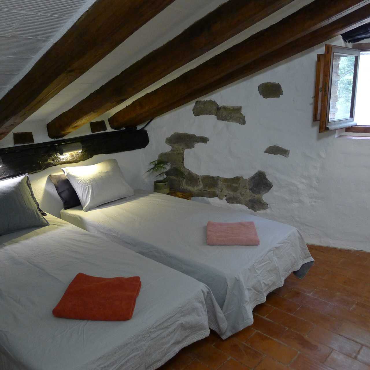 Cedre@mitjanas: immerse yourself in green at our cosy homestay