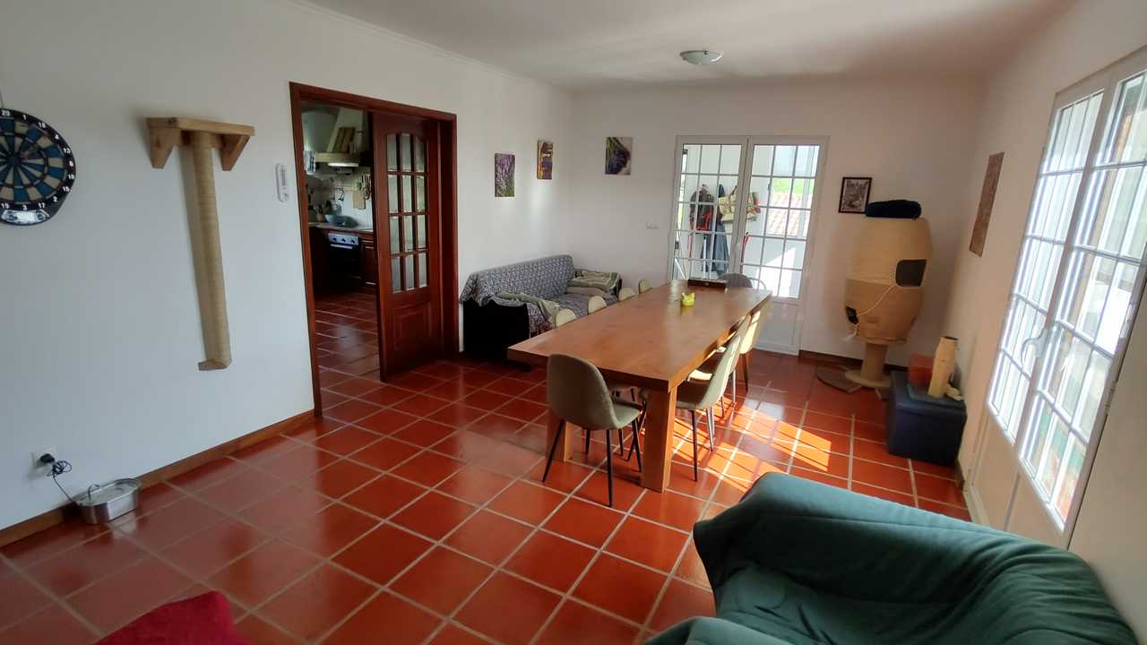 Private Room in a vegan guest house with cats