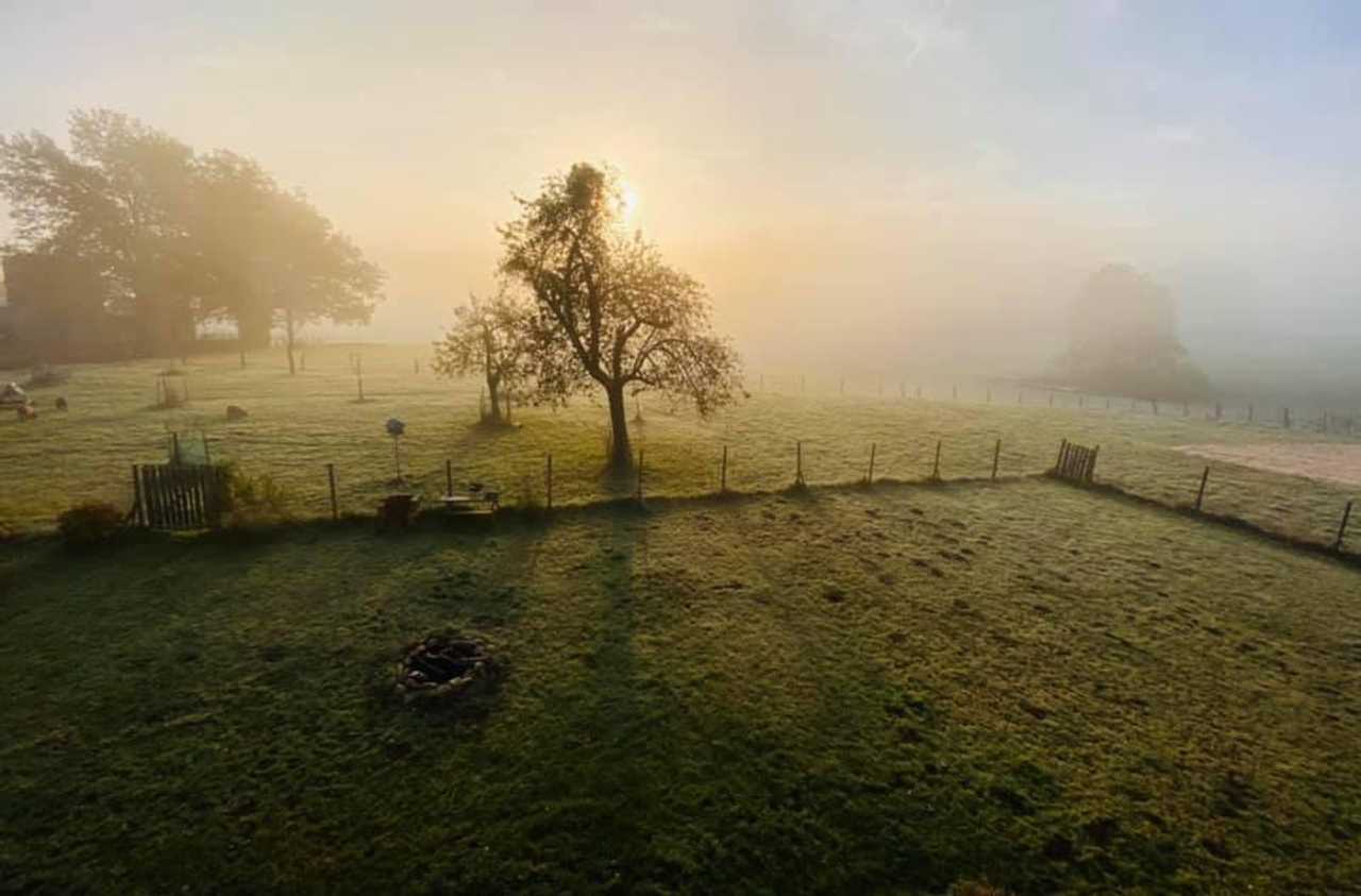 Varm - the vegan farm - a kind of sanctuary for animals and humans